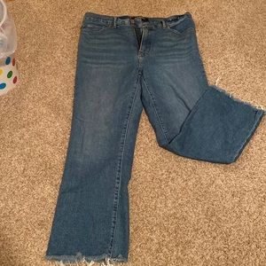 Express Ankle Length Jeans
